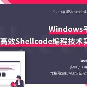 过年不屯点干货吗，Windows平台高效Shellcode编程技术实战｜精品公开课