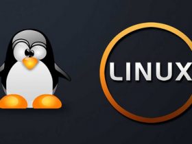 Linux内核本地提权漏洞预警分析（CVE-2019-8912）