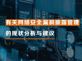 有关网络安全漏洞披露管理的现状分析与建议